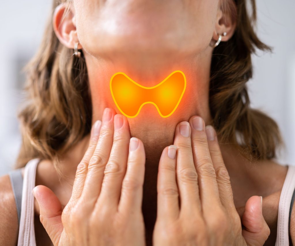 Thyroid Antibodies Range for Optimal Health and Longevity